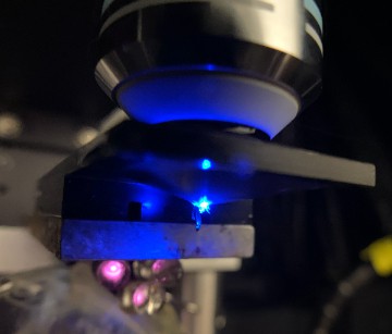 2-photon and confocal microscopy is used to understand the function and wiring of neural circuits. Credit: Kiley Riffell