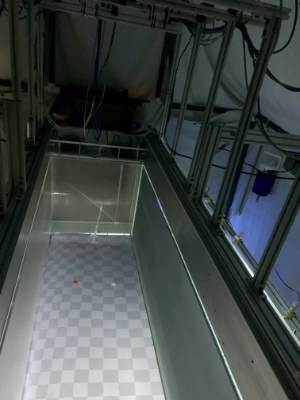 Wind tunnel and the real-time computer vision system used to present different visual objects to flying mosquitoes. Credit: Kiley Riffell